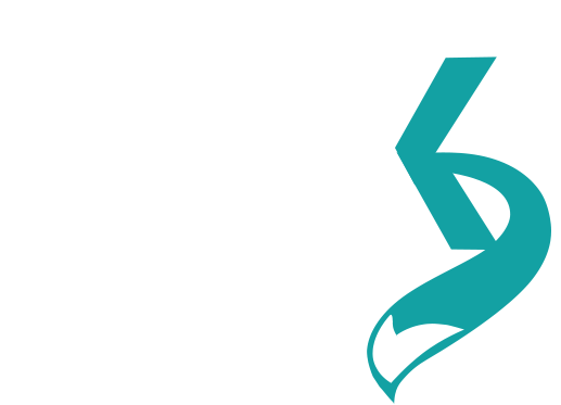 Fox Solucoes
